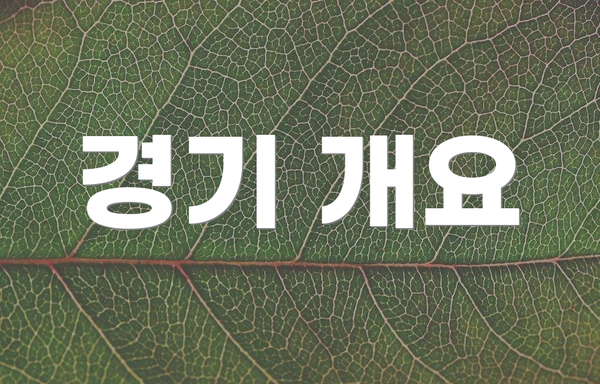 경기 개요