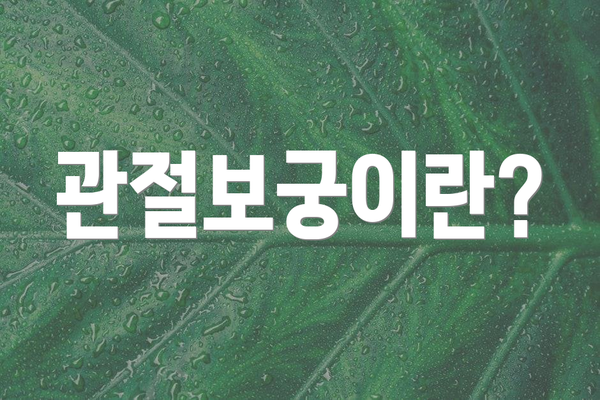 관절보궁이란?