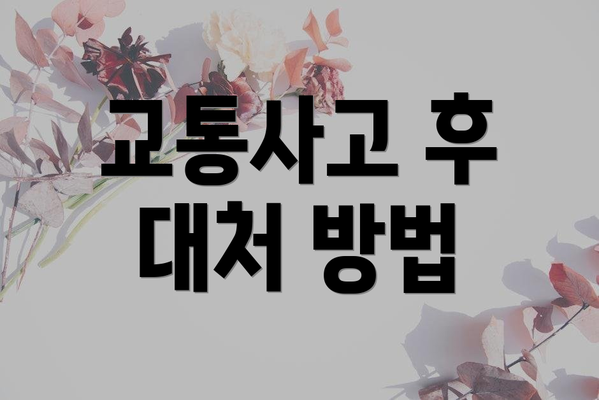 교통사고 후 대처 방법
