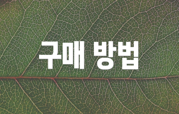 구매 방법