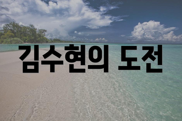 김수현의 도전