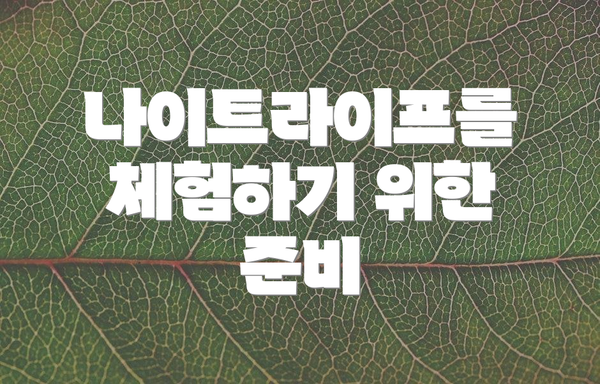 나이트라이프를 체험하기 위한 준비