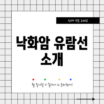 낙화암 유람선 소개