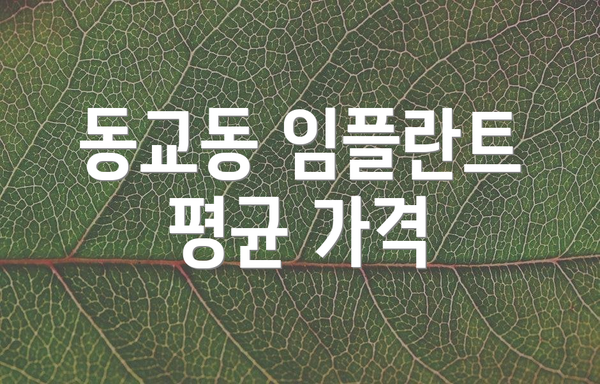 동교동 임플란트 평균 가격