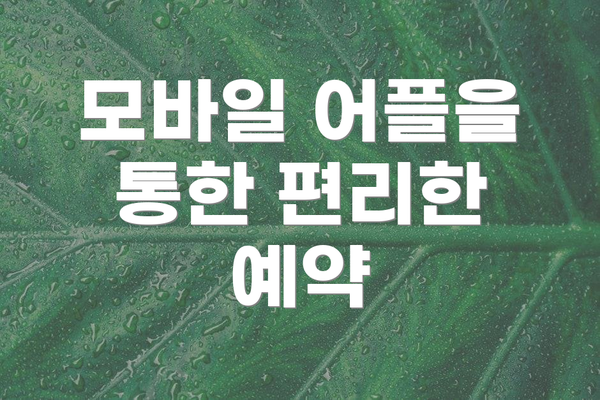 모바일 어플을 통한 편리한 예약