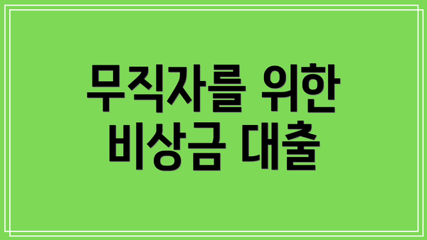 무직자를 위한 비상금 대출