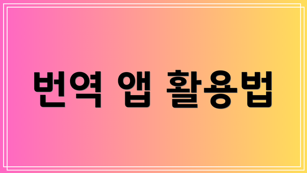 번역 앱 활용법