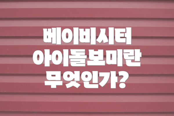 베이비시터 아이돌보미란 무엇인가?