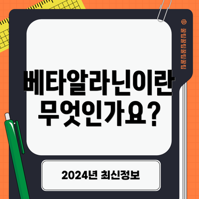 베타알라닌이란 무엇인가요?