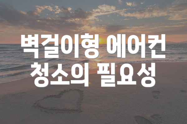 벽걸이형 에어컨 청소의 필요성