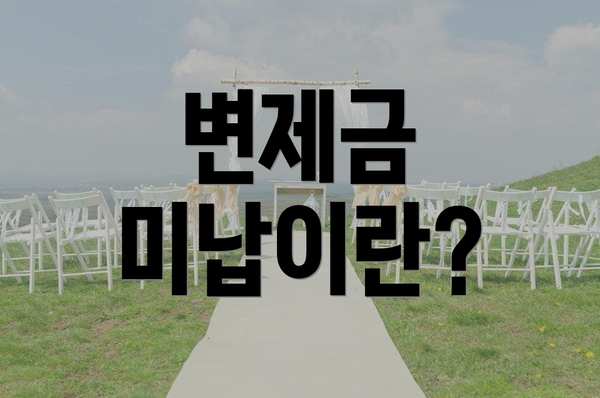 변제금 미납이란?