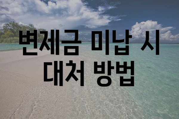 변제금 미납 시 대처 방법