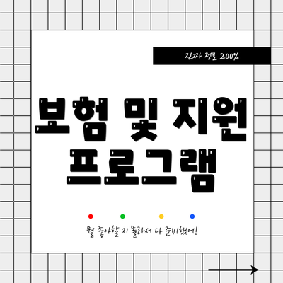 보험 및 지원 프로그램