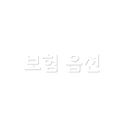 보험 옵션