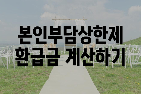 본인부담상한제 환급금 계산하기