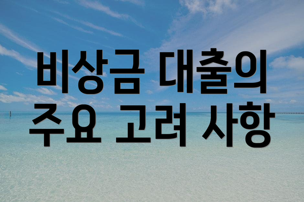 비상금 대출의 주요 고려 사항