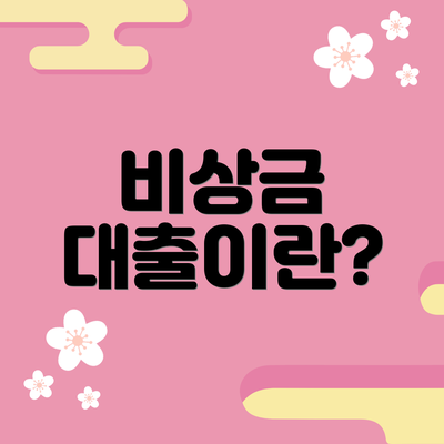 비상금 대출이란?