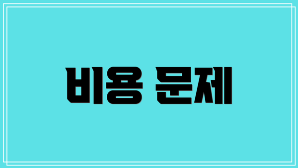 비용 문제