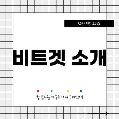 비트겟 소개