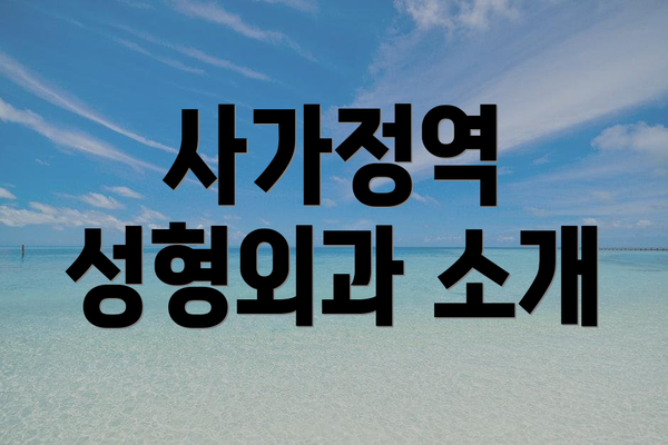사가정역 성형외과 소개