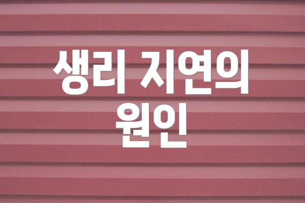 생리 지연의 원인