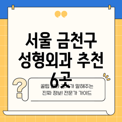 서울 금천구 성형외과 추천 6곳