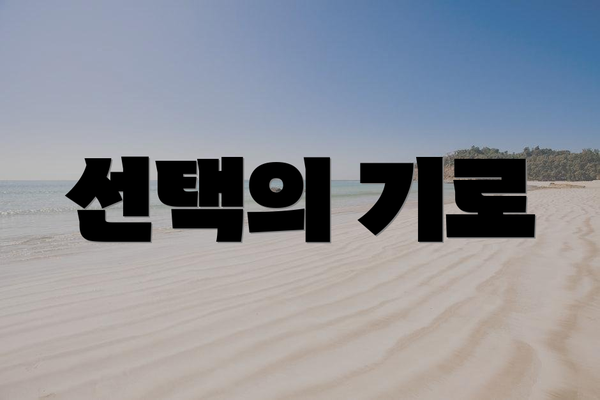 선택의 기로