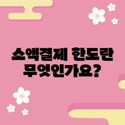 소액결제 한도란 무엇인가요?