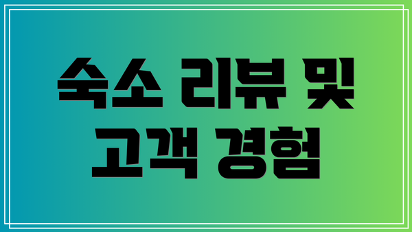 숙소 리뷰 및 고객 경험