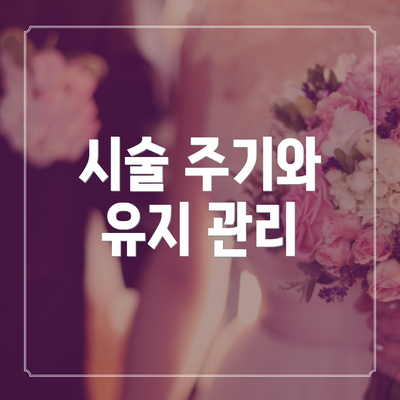 시술 주기와 유지 관리