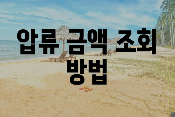 압류 금액 조회 방법