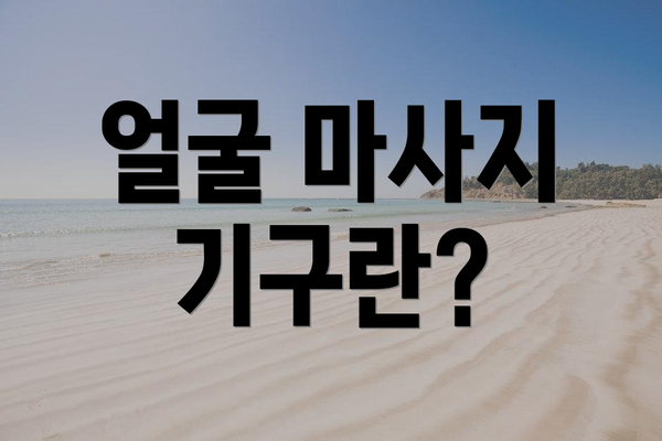 얼굴 마사지 기구란?