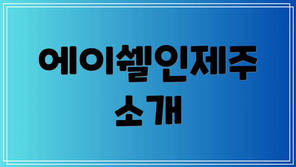 에이쉘인제주 소개