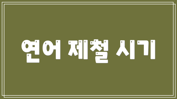 연어 제철 시기