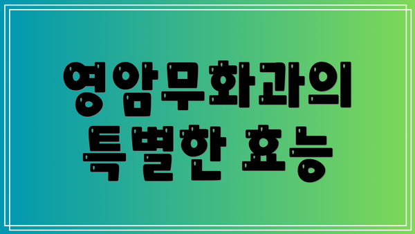 영암무화과의 특별한 효능