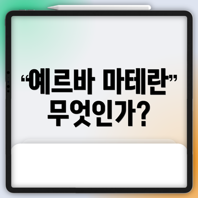 예르바 마테란 무엇인가?