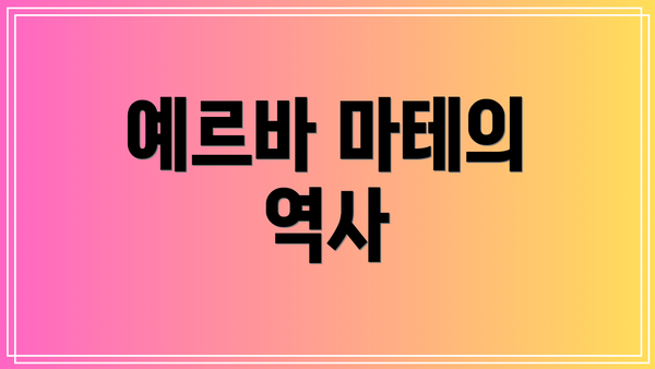 예르바 마테의 역사