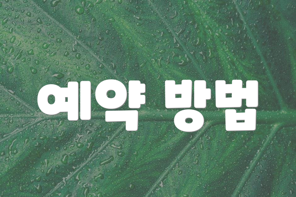 예약 방법