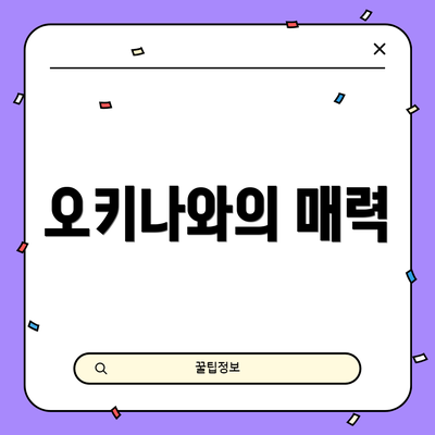 오키나와의 매력