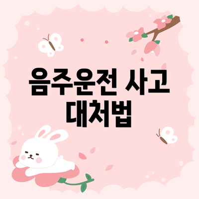 음주운전 사고 대처법