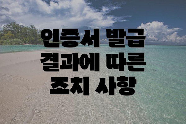 인증서 발급 결과에 따른 조치 사항