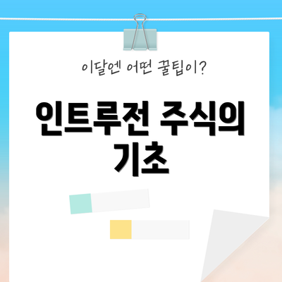 인트루전 주식의 기초
