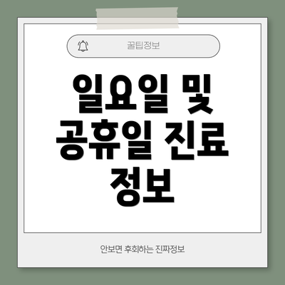 일요일 및 공휴일 진료 정보