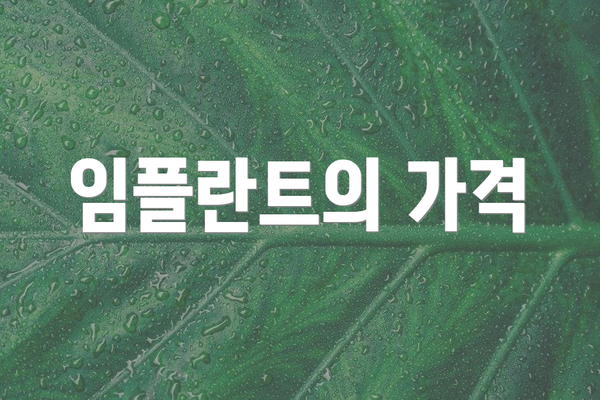 임플란트의 가격