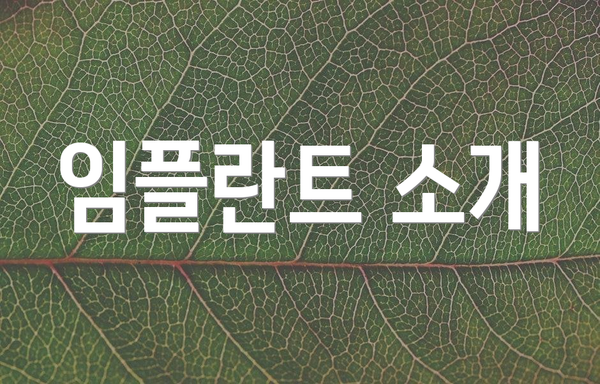 임플란트 소개