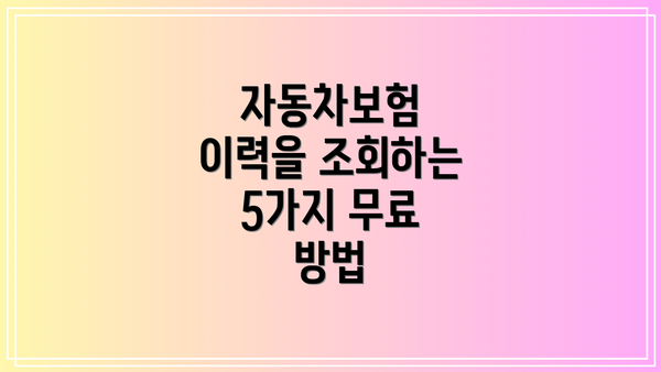자동차보험 이력을 조회하는 5가지 무료 방법