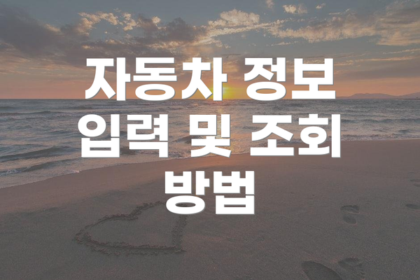 자동차 정보 입력 및 조회 방법