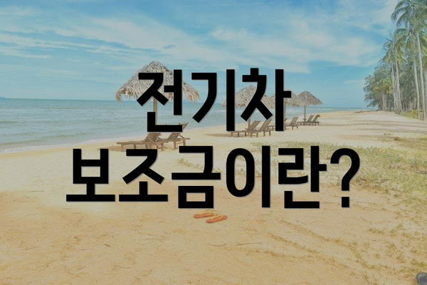 전기차 보조금이란?