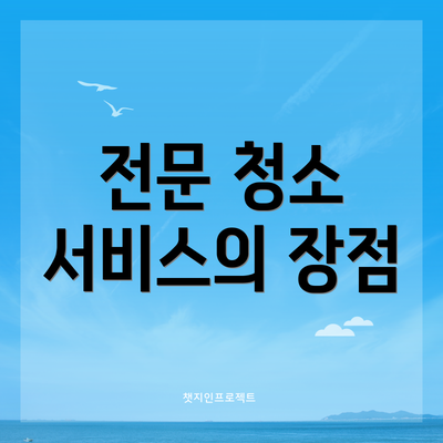 전문 청소 서비스의 장점