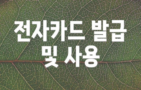 전자카드 발급 및 사용